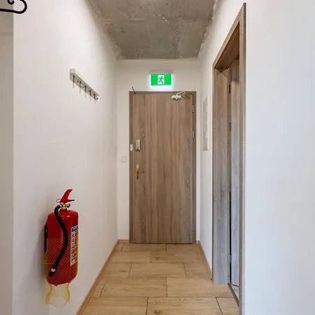 Brand New Penthouse #31 Near Center With Free Parking